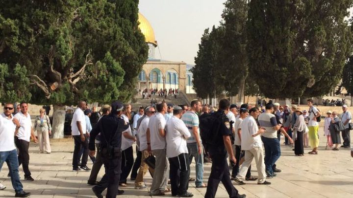 قائد شرطة الاحتلال يقود اقتحاماً استفزازياً للمسجد الأقصى