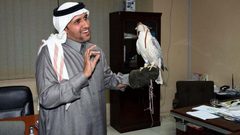 قصة شاب سعودي أصم يتحدث مع الصقور بلغة الإشارة ( صور)