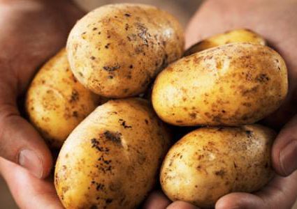 بعد القهوة..البطاطس "قد تختفي" أيضا من الأسواق!