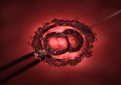 بعد انتقاد التجربة الصيني عالم أمريكي يطور أجنة بشرية معدلة