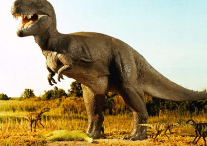 من جديد.. اكتشاف بقايا ديناصور