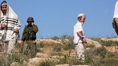 مستوطنون يستهدفون موقعا أثريا ويقتلعون أشجارا معمرة