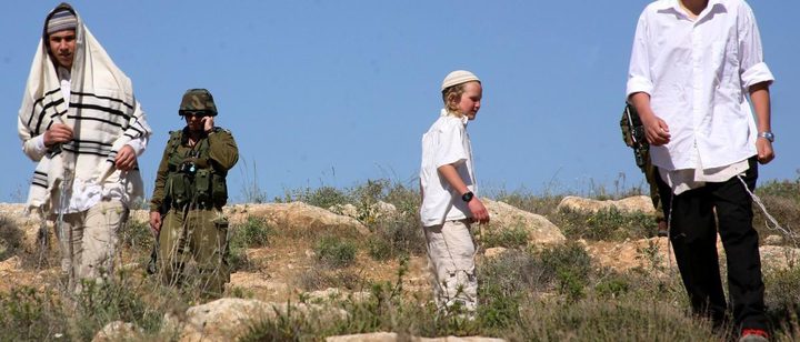 مستوطنون يستهدفون موقعا أثريا ويقتلعون أشجارا معمرة