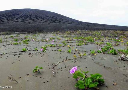 ناسا تكشف مصير الجزيرة "التي ظهرت من العدم"