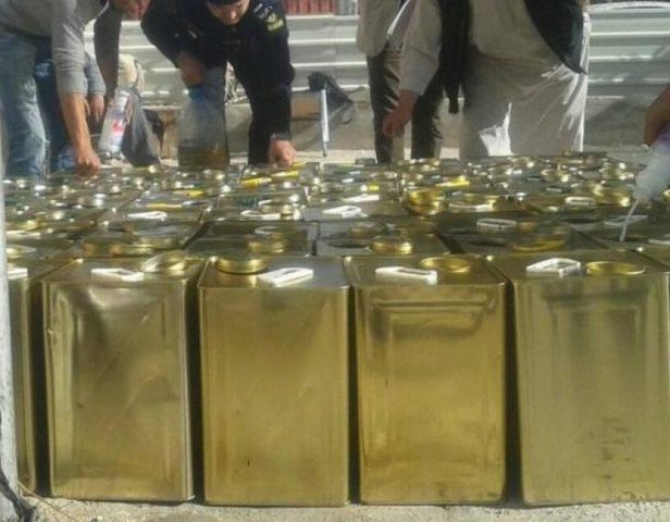 الأردن تستقبل حوالي الف طن سنوياً من "ذهب فلسطين الأخضر"