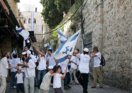 مستوطنون يعتدون على مسنة ونجليها في مخيم العروب