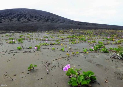 ناسا تكشف مصير الجزيرة "التي ظهرت من العدم"