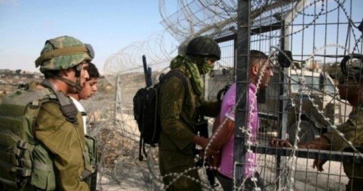 الاحتلال يعتقل شابين تسللا من غزة