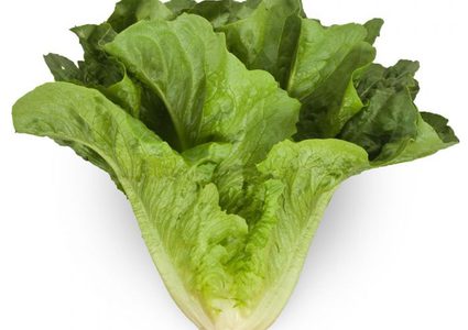 فوائد الخس للمرأة الحامل