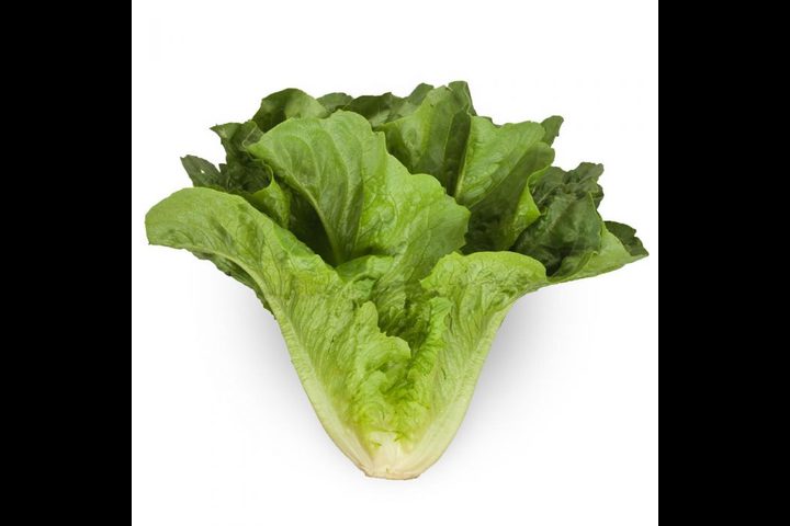 فوائد الخس للمرأة الحامل