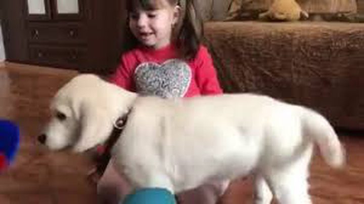 بوتين يحقق أمنية طفلة (فيديو)