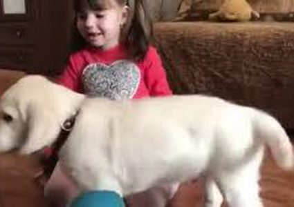 بوتين يحقق أمنية طفلة (فيديو)