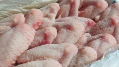 الدواجن المجمدة تعود للأسواق الغزية مغلفة بسعادة المواطنين