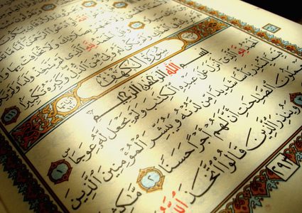 علوان : من ترك سنة رسول الله جملة فقد كفر بها