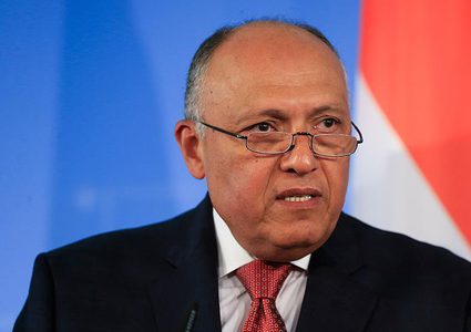 القاهرة وكيب تاون تبحثان قضايا الأمن في إفريقيا