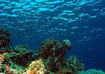 للمرة الأولى..علماء يتجهون إلى منطقة الشفق في المحيط الهندي