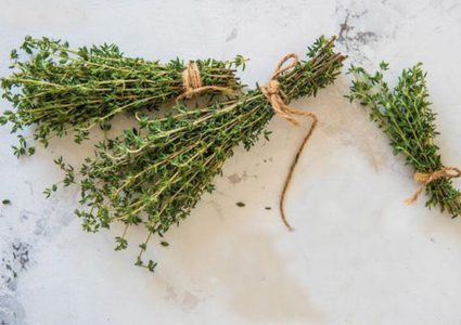 تعرفي على فوائد الزعتر البري!