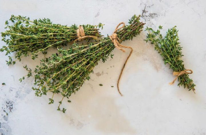 تعرفي على فوائد الزعتر البري!