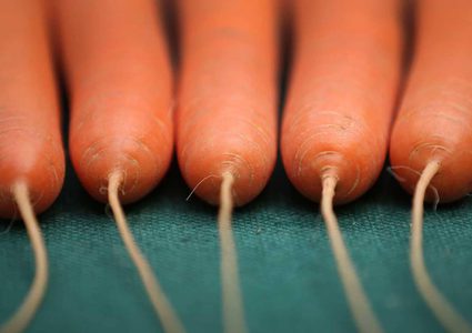 الجزر يقوي النظر.. 13 مقولة شائعة أثبتها العلم