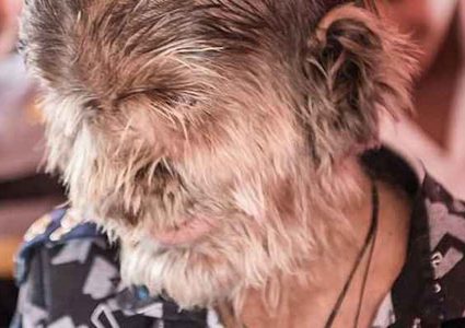 قصة الطفل الذئب في الهند