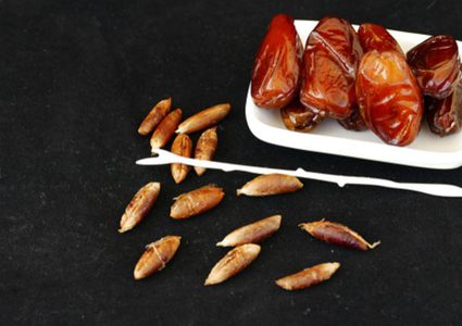 اكتشف فوائد نواة التمر