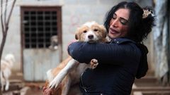بالصور... دمشقية تأوي آلاف الكلاب والقطط الضالة