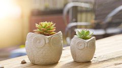 أفكار ديكور لاستخدام الأسمنت