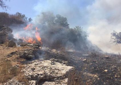 حرق الأعشاب وكيفية التعامل معها من قبل المزارعين