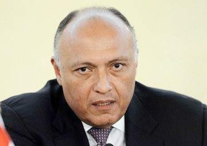 وزير الخارجية المصري: دور تركيا في ليبيا مقلق