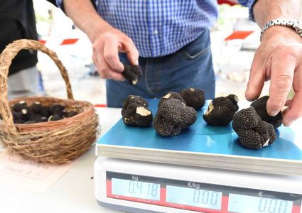 7 منشطات طبيعية تبعد الإجهاد