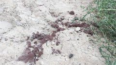 أخرجت ابنة زوجها من المدرسة ونحرتها