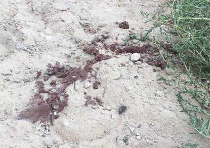 أخرجت ابنة زوجها من المدرسة ونحرتها