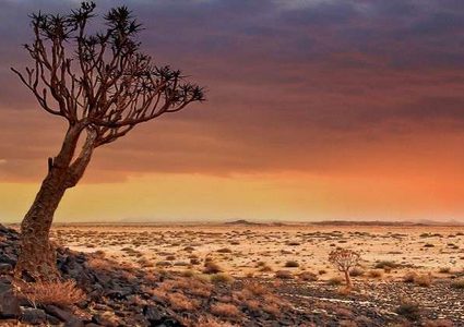 فيديو مذهل يعيد مدينة مفقودة منذ زمن بعيد إلى الحياة!