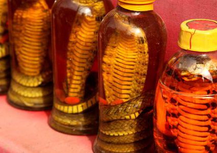 فوائد زيت الثعبان للقلب والعضلات