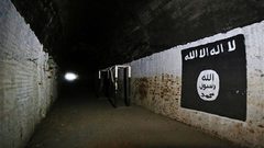 ملايين الدولارات و40 طنا من الذهب.. ثروة داعش بسوريا
