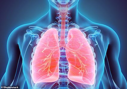 هل حقاً يوجد سجائر آمنة وما هي أضرار السجائر الإلكترونية