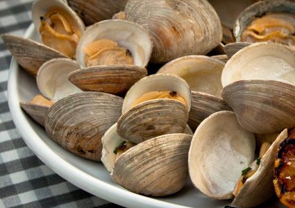 الزنك مضاد للإنفلونزا.. تعرف عليه