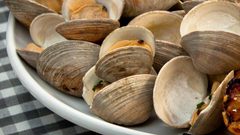 الزنك مضاد للإنفلونزا.. تعرف عليه