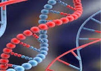 اجتماع لمنظمة الصحة العالمية بعد "صدمة الجينوم"