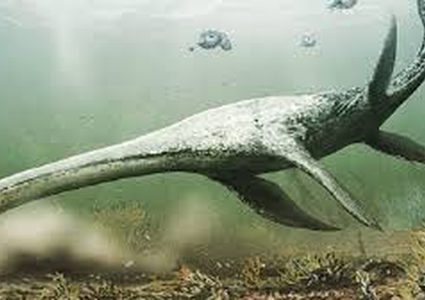 نيوزلندا.. غواص ينجح بتصوير وحش "أسطوي" أثناء رحلة صيده!