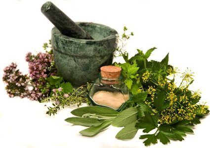 مختص: طب الأعشاب هو الأصل..ويعالج المرض وليس العرض