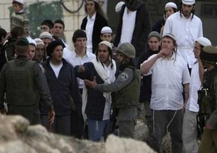 مستوطنون يسرقون نعجتين ويدهسون ثالثة في الأغوار