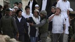 مستوطنون يسرقون نعجتين ويدهسون ثالثة في الأغوار