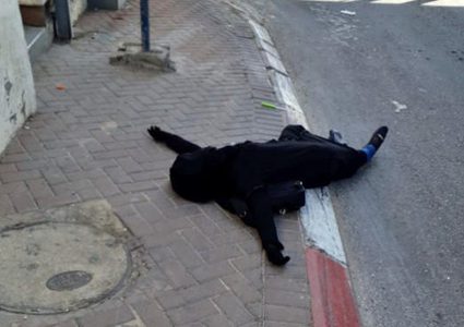 الاحتلال يؤجل النظر في تسليم جثمان الشهيدة سماح مبارك