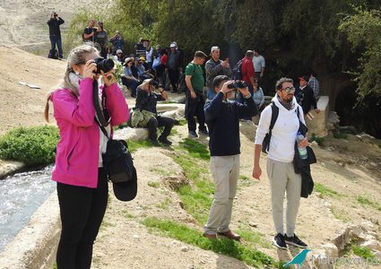 "محميات فلسطين" بدورة استدراكية لتجديد رخصة الادلاء السياحين