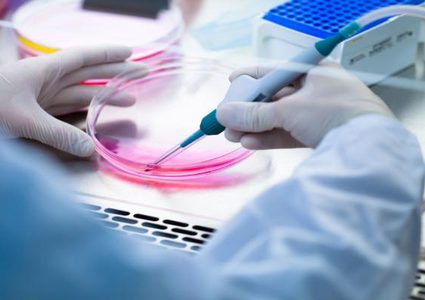 اليابان توافق على تجربة علاج الحبل الشوكي بخلايا جذعية