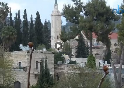 ما لا تعرفه عن قرية عين كارم