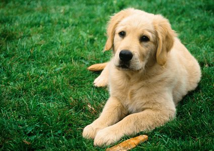 تغيبوا عنه عام وعادوا ليجدوه بانتظارهم