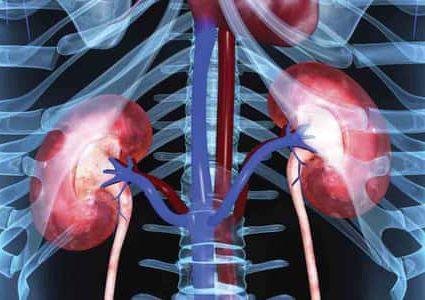 ما هي أعراض الفشل الكلوي ؟