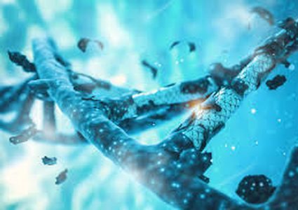 هل ينجح التعديل الجيني في علاج اضطراب دماغي نادر؟